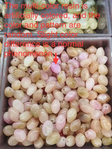 SHEIN 1pc Elegant & Fashionable Women's Summer Ocean Element Bohemian Jewelry Necklace