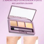 SHEIN Amortals Aurmel Grape Concealer Palette, 3 Colors Cover Blemishes, Dark Circles, Spots, Acne Scars And Contouring